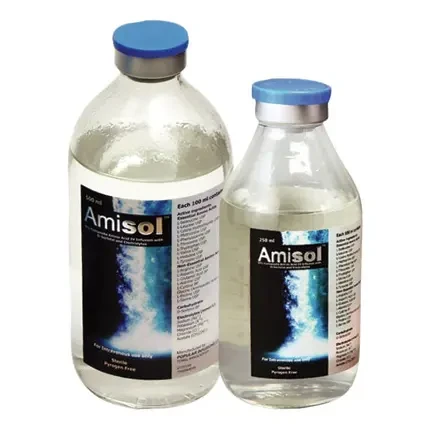 Injection Amisol 5% (500ml)